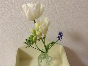 2016.4.スキルアップ講座⑦_コピー