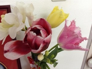 2016.4.スキルアップ講座⑤pg_コピー