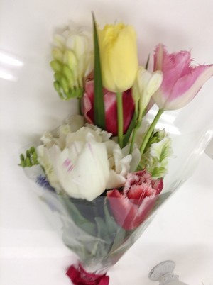 2016.4.スキルアップ講座④_コピー_コピー