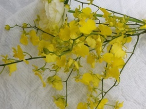 フラワーショップカラー研修15929③