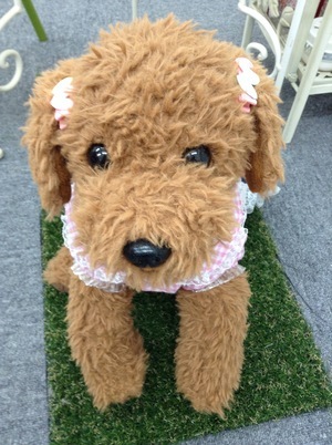 カラーアナリスト卒業生とルンルン