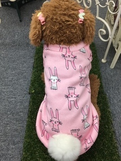 ルンルンクリスマスプレゼント2