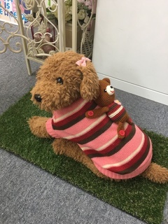 鉢カバーカラーコーディネート2