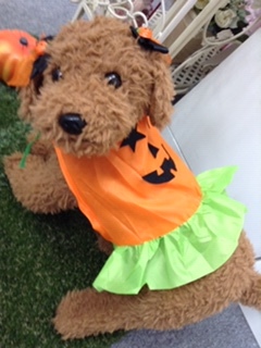 ルンルン・ハロウィン