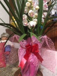 喜寿のお祝いシンビジウム