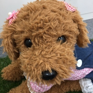 ルンルン2021.0706