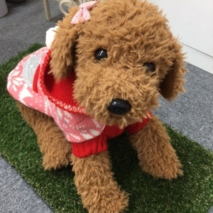 クリスマス・ルンルンの服