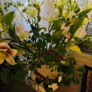 お花とサンタさん1