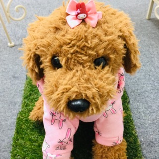 ルンルン2022.3.18