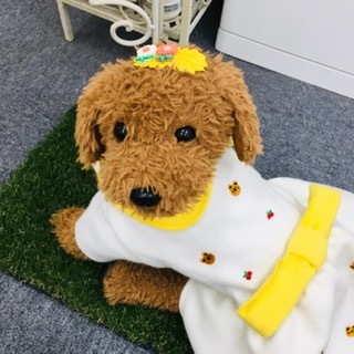 ルンルン黄色ワンピ