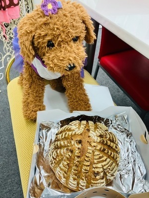 カンパーニュとルンルン_コピー