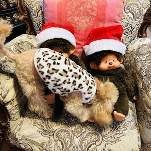 2022.12.25クリスマス