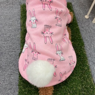 カラースクール2023年新年を迎える準備