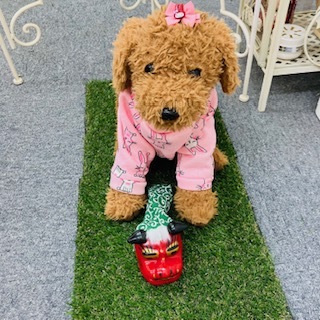 カラースクール2023年新年を迎える準備