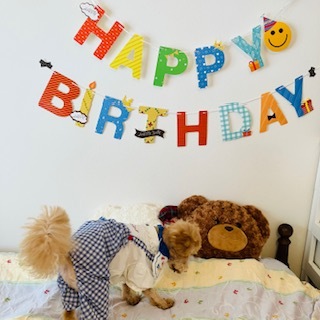 愛犬1歳のバースデーカラーコーデ③