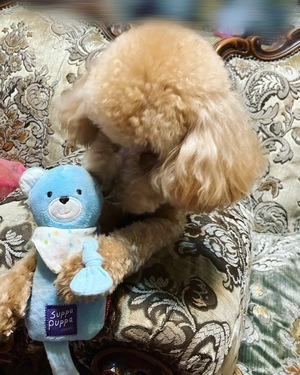 260AF6DA-EB73-4D84-A8A8-A0C5F4896E72_コピー