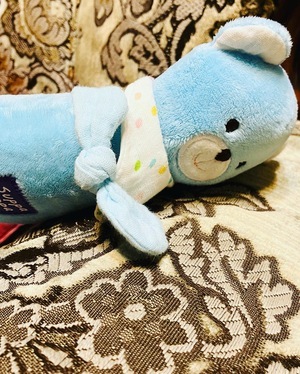 癒しカラーのクマちゃん