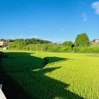 三重県鳥羽色彩戦略家おすすめお宿①