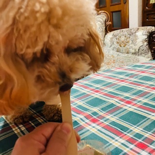 赤×緑のクリスマス料理⑦