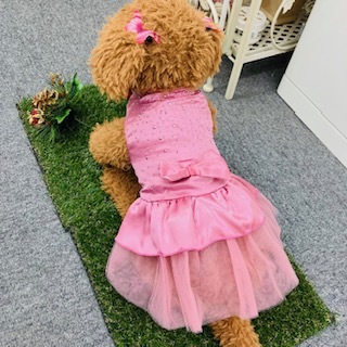 2024年新年ご挨拶②