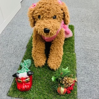 ルンルンお正月用ピンクのドレス