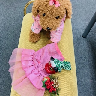 ルンルンお正月に着るドレス