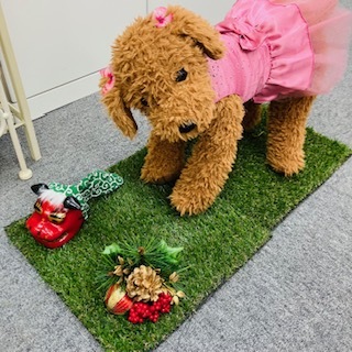 2024年新年ご挨拶③