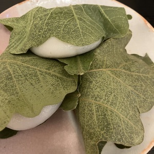 端午の節句柏餅